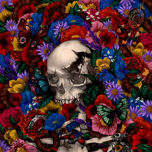 MULTIPLICITY WITH AWAKENING AUTUMN ON DATA GIRL’S RABBIT&nbsp;HOLE